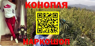 гашик Нальчик