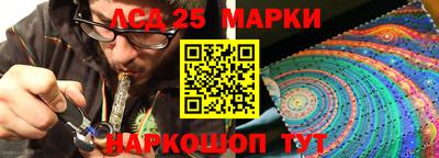 гашик Нальчик
